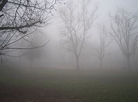 Rowlett High School – Missing Person Search: Annual Drill